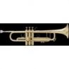 Compra Trompeta BACH Stradivarius LT-180/43 Goldmessing al mejor precio