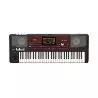 Compra Korg PA700 ORIENTAL TECLADO ARREGLOS al mejor precio