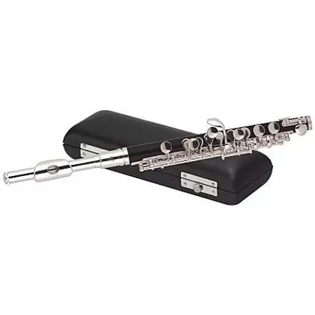 Estuche Flauta piccolo PC360 J.Michael