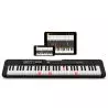 Compra Casio LK-S250 Teclado CASIOTONE al mejor precio