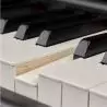 Compra Yamaha P-515 BLACK al mejor precio