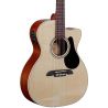 Comprar Alvarez RF26CE Regent Folk al mejor precio