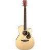 Furch VINTAGE 3 OMC-SR Cutaway