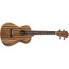 Compra OQAN UKELELE SOPRANO QUK-15SZ al mejor precio