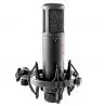 Comprar sE Electronics SE2200 Microfono Condensador con descuento