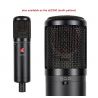 Oferta sE Electronics SE2200 Microfono Condensador al mejor precio