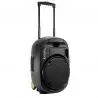 Comprar Ibiza PORT15UHF-MKII Altavoz Portatil