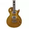 Comprar Austin AS6PGT Super 6 Gold Top al mejor precio