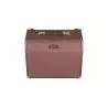 Comprar Luna Acoustic Ambiance 25 Watt Amp al mejor precio