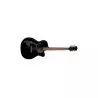Comprar Luna Fauna Phoenix Classic Black al mejor precio
