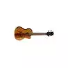 Comprar Luna Uke Vista Eagle Concert al mejor precio