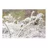 Comprar Beamz Snow5000 Maquina De Nieve De Alto Volumen al