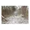 Comprar Beamz Snow5000 Maquina De Nieve De Alto Volumen al
