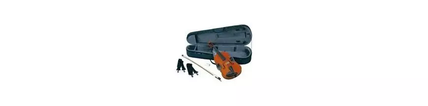 Viola